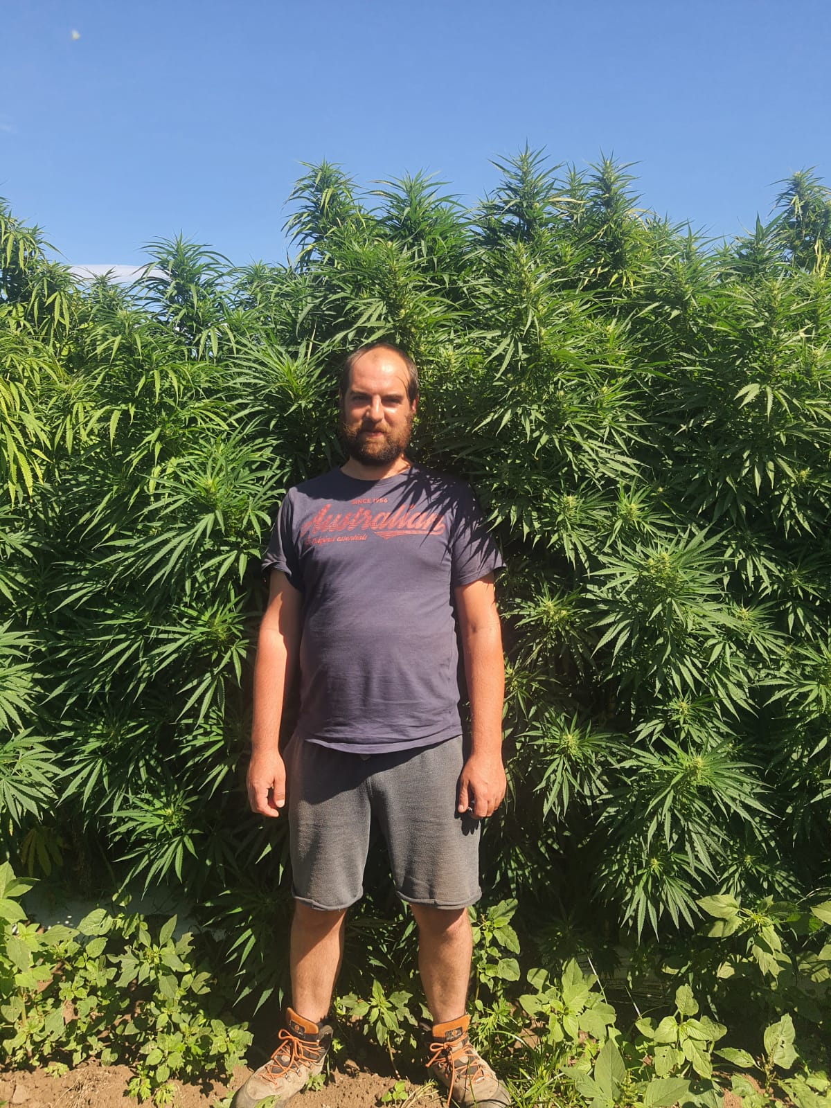 Jérémy Gaillard — co-fondateur L’Herbe en France