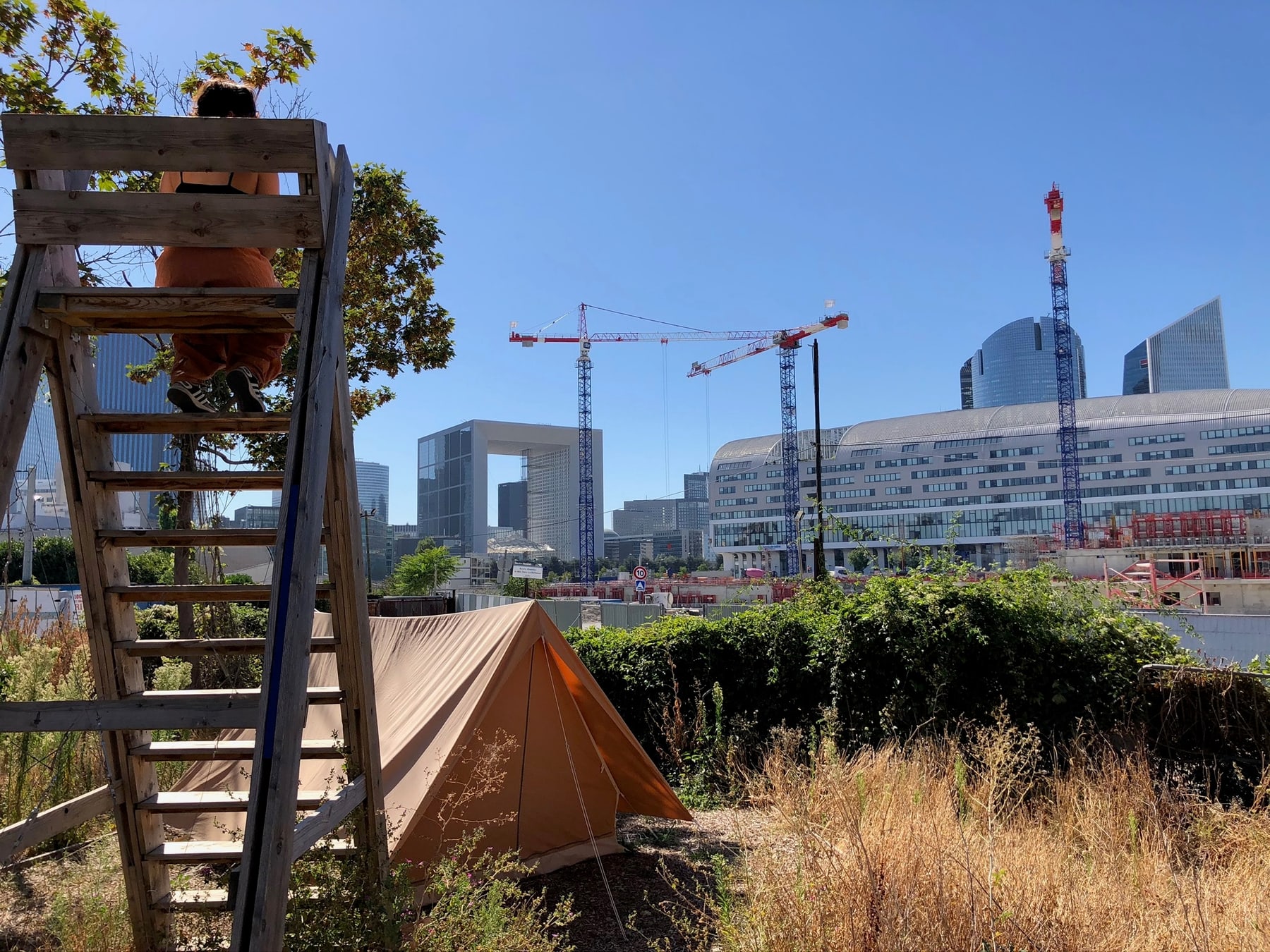 Un hôtel à insectes en bois installé dans un jardin, avec les tours de La Défense et la Grande Arche à l’arrière-plan