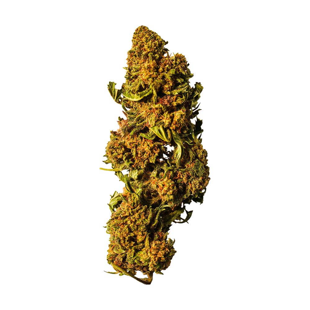 CBD Smash Bubble